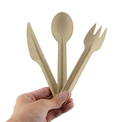 100% Biodegradable Edible Bagasse Paper Cutlery Set For Events